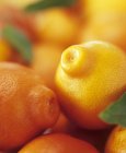 Мандаринські апельсини з листям — стокове фото