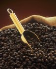 Смажені кавові зерна з золотою ложечкою — стокове фото