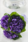 Primo piano vista di mazzo di viole con foglie — Foto stock