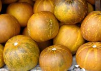 Melons jaunes mûrs — Photo de stock