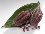 Fruits de cacao aux feuilles — Photo de stock