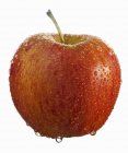 Свежее спелое красное яблоко — стоковое фото