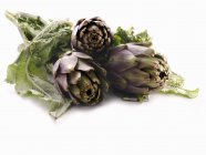 Fresh artichokes with leaves — Stock Photo