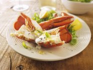 Closeup view of lobster with lemon mayonnaise and herbs — Stock Photo