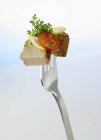 Tofu ahumado en tenedor - foto de stock