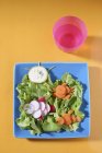 Овочі для дітей на тарілці — стокове фото