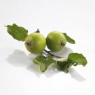 Zwei grüne Äpfel — Stockfoto