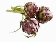 Bouquet d'artichauts violets — Photo de stock