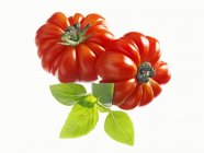 Beefsteak tomates con hojas de albahaca - foto de stock
