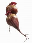 Two ripe beetroots — Stock Photo