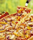 Hühnerpizza mit Paprika und Zwiebeln — Stockfoto