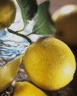 Fresh Lemon with leaves — Stock Photo