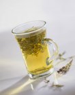 Чай тимьян в стакане — стоковое фото
