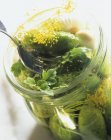 Pickled gherkins with fennel in jar — Stock Photo