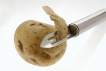 Fresh raw potato — Stock Photo