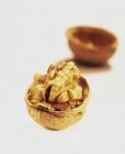Open Walnut in shell — Stock Photo