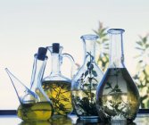 Vista de cerca de varios aceites de hierbas en botellas de vidrio - foto de stock