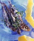 Grilled sardines with herbs and garlic — Stock Photo