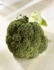 Свежий зелёный брокколи — стоковое фото