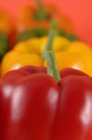 Красочные спелые Bell Peppers — стоковое фото