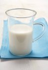 Coconut milk in jug — Stock Photo