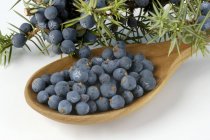 Fresh juniper berries in wooden spoon — Stock Photo