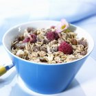 Muesli with dried berries and fruits — Stock Photo