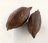 Vainas de cacao crudas - foto de stock