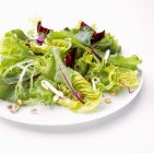 Feuilles de salade mélangées avec des fèves de soja — Photo de stock