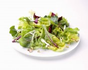 Salad leaves with soya beans — Stock Photo