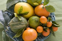 Zitrusfrüchte mit Blättern — Stockfoto