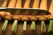 Fresh Ripe Carrots — Stock Photo