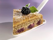 Piece of blackberry nut cake — Stock Photo
