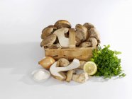 Still life with ceps — Stock Photo