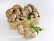 Белые грибы в корзине крупным планом — стоковое фото