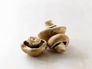Botão cogumelos, close-up — Fotografia de Stock