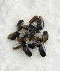 Mussels on crushed ice — Stock Photo