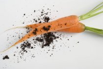 Dos zanahorias con tierra - foto de stock