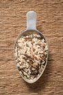 Mixed uncooked rice in scoop — Stock Photo