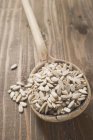 Shelled sunflower seeds — Stock Photo