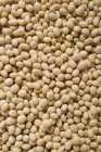Haricots secs de soja — Photo de stock