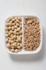 Dried Soya beans and spelt — Stock Photo