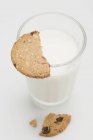 Vaso de leche con un pedazo de galleta integral - foto de stock