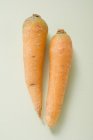 Две свежие спелые морковки — стоковое фото