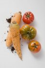 Две морковки с почвой — стоковое фото
