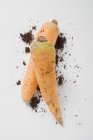 Две морковки с почвой — стоковое фото