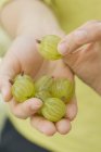 Donna che detiene uva spina fresca — Foto stock
