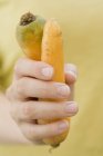 Main tenant deux carottes — Photo de stock