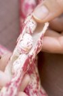 Donna che apre baccello di fagioli Borlotti — Foto stock