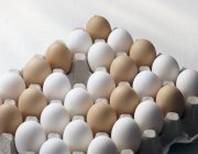 Белые и коричневые яйца — стоковое фото